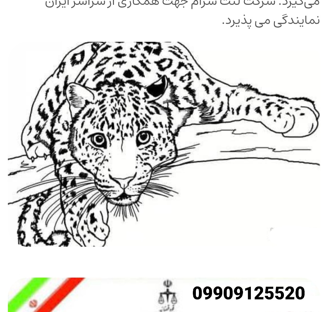 انواع لنت کفشکی