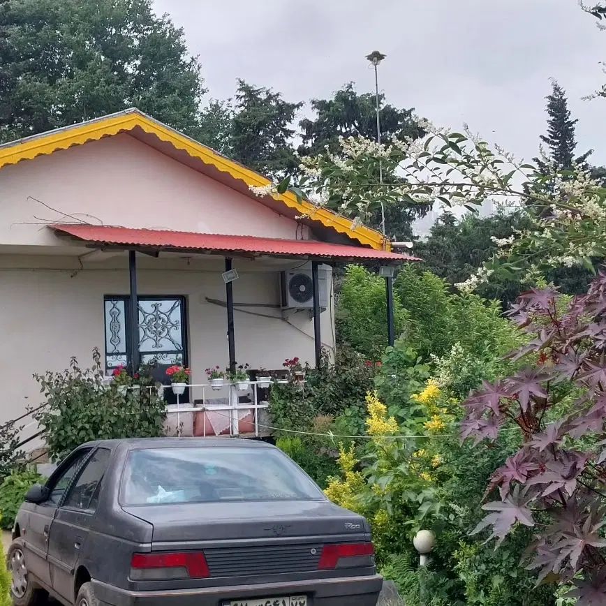 Daimenhomes