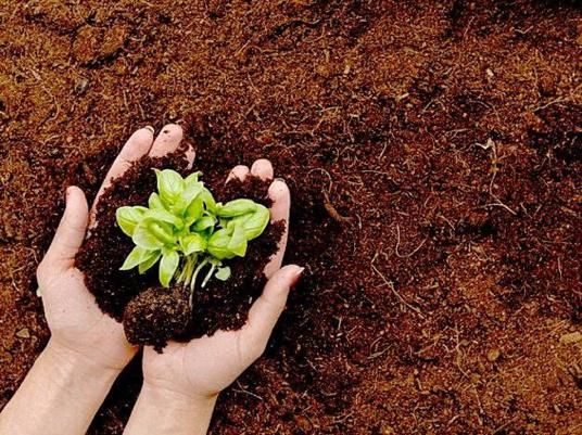 خاک باغچه مرغوب کشاورزی خاکستری