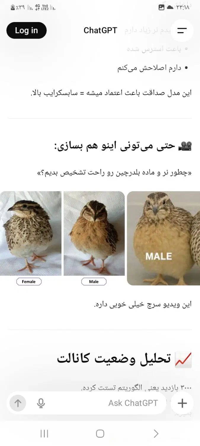 بلدرچین سرحال وسالم کاملا ارگانیک