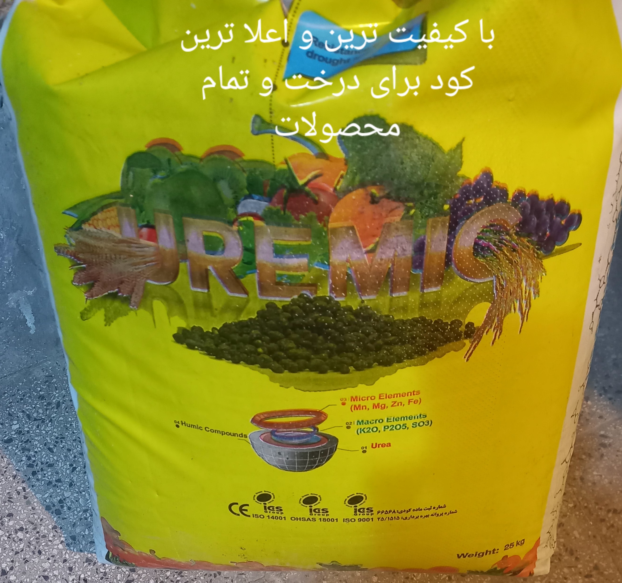 کود اورمیک (کود بی‌نظیر کودکده آذربایجان)