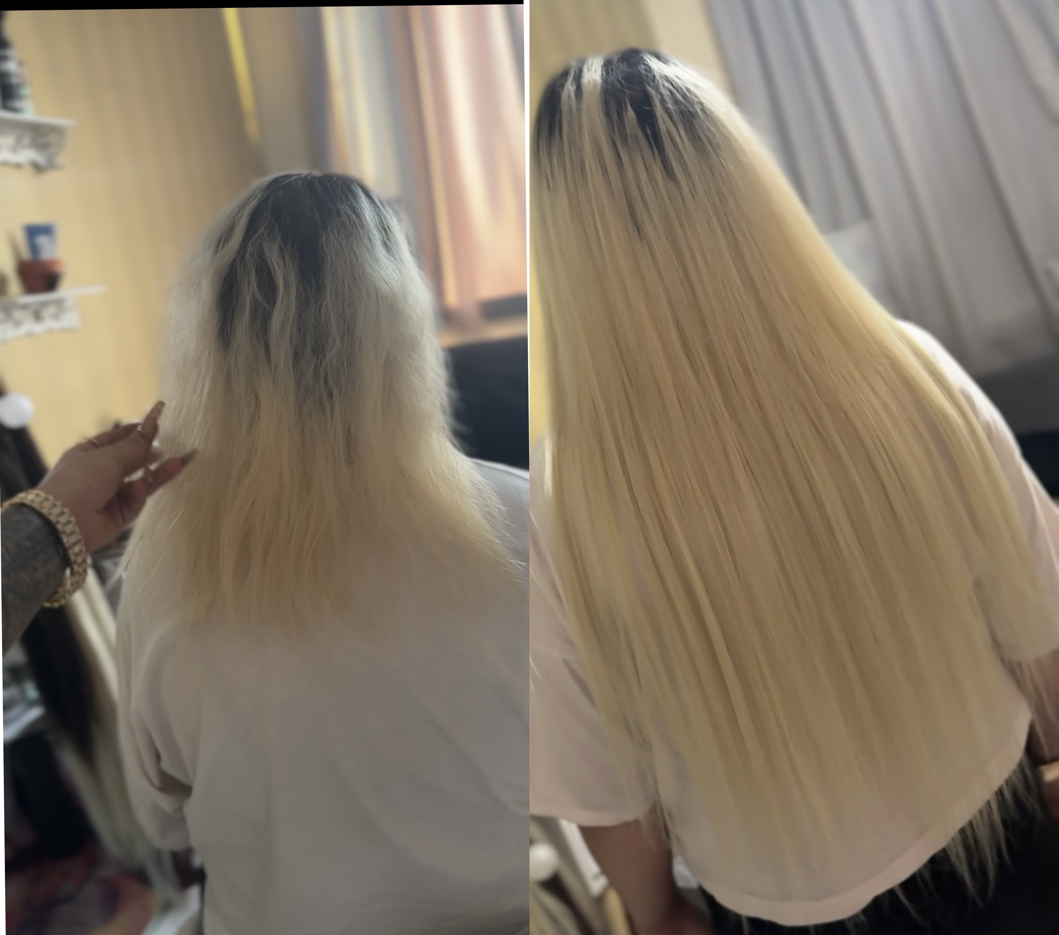 نصب 200شاخه