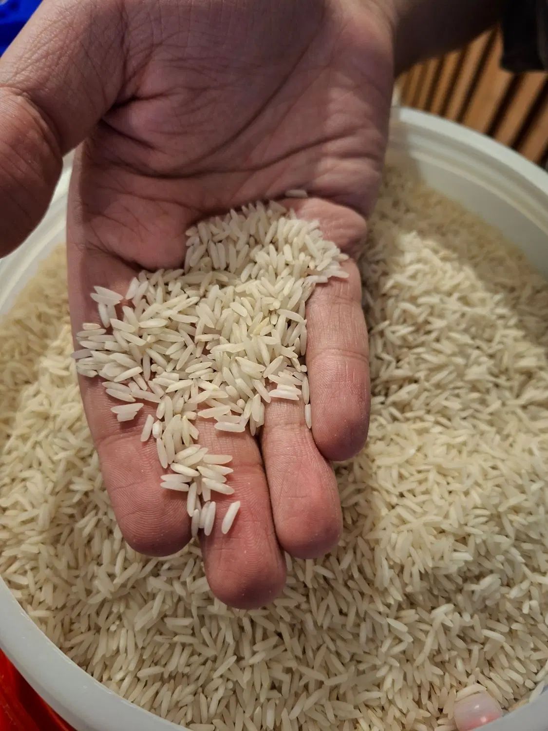 بنکداری تقی زاده