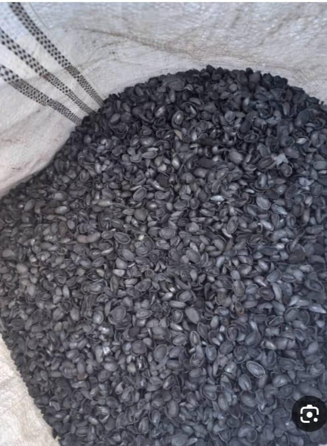 خاک اره پوست گردو خاک ذغال کربن پسته سی ام سی