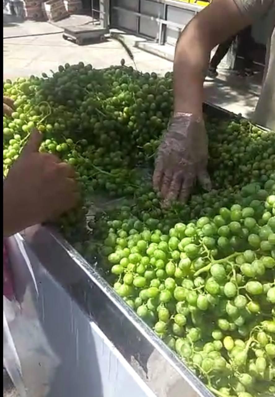دستگاه بروز آبغوره گیری آبلیمو گیر آب غوره آتی ساز
