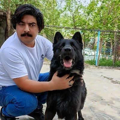 سگ نگهبان اصیل و ضمانتدار می‌خواین