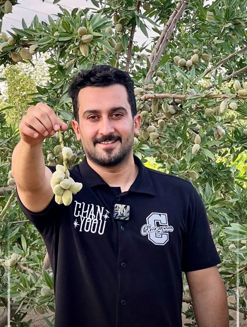 بادام تونو