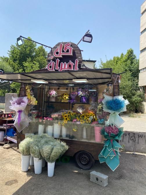 جشنواره رزطبیعی فقط شاخه ای ۳۵هزارانواع گلهاطبیعی