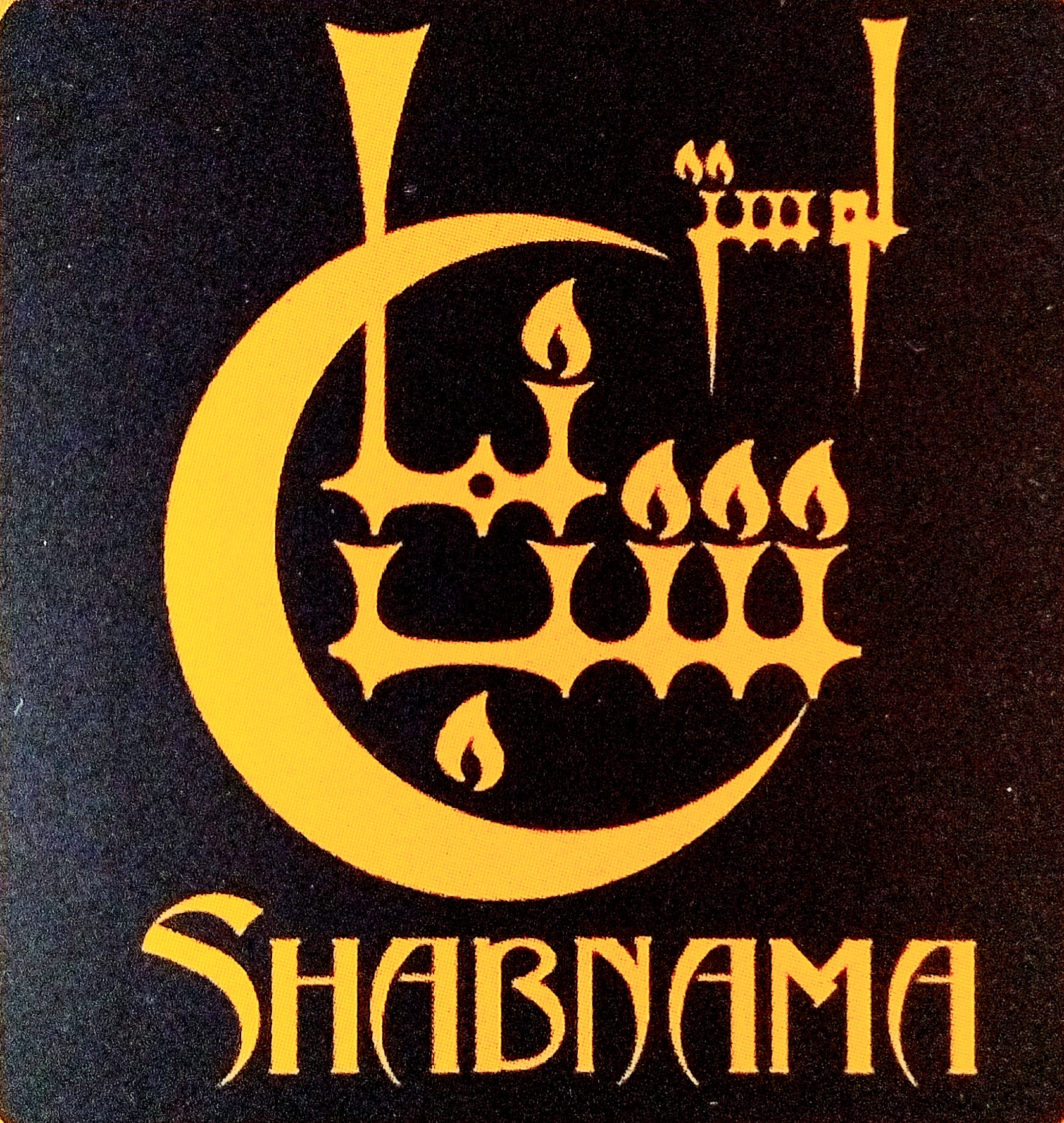 تولیدی لوستر شب نما