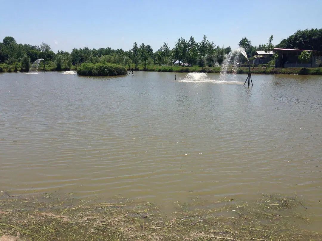 گروه سرمایه گذاری سران 22