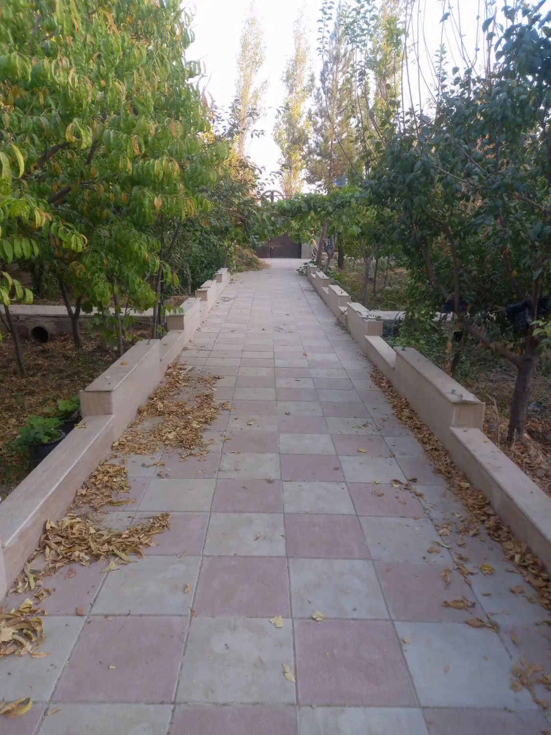 املاک بزرگ اریشا