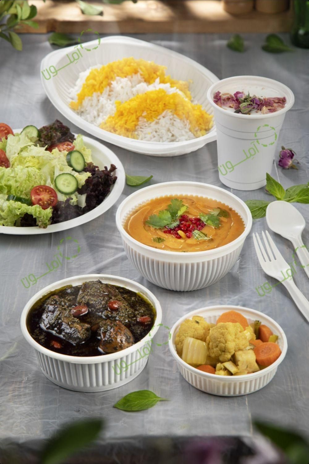 فروش عمده ظروف یکبار مصرف گیاهی آملون