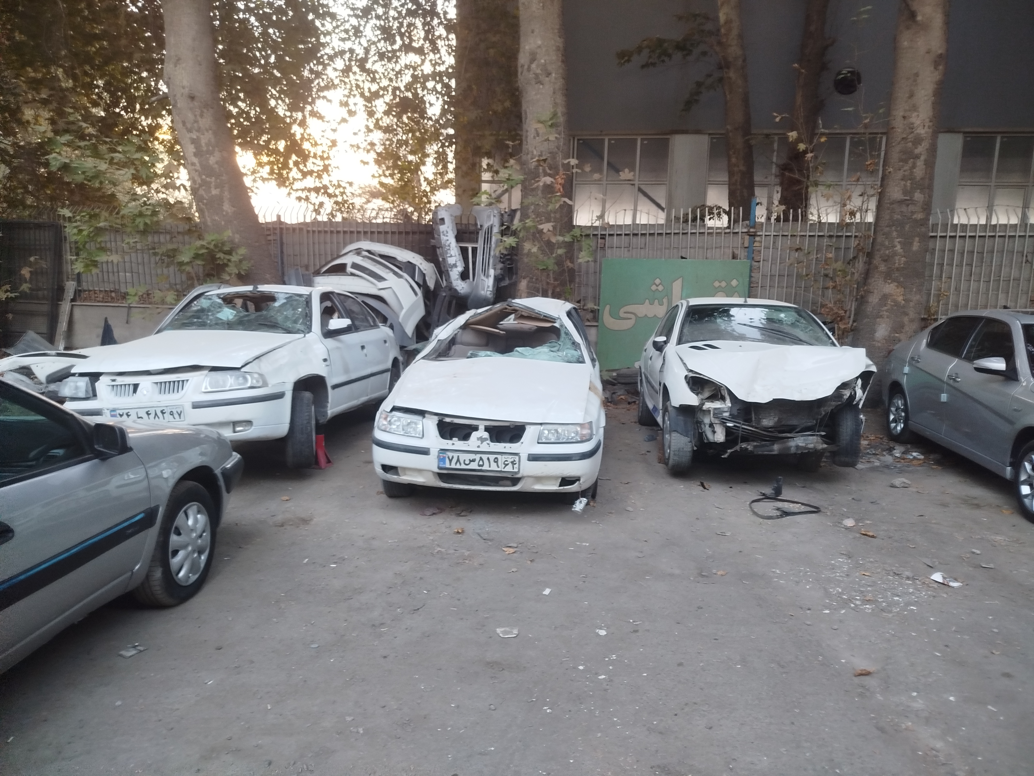 خریدارتصادفی