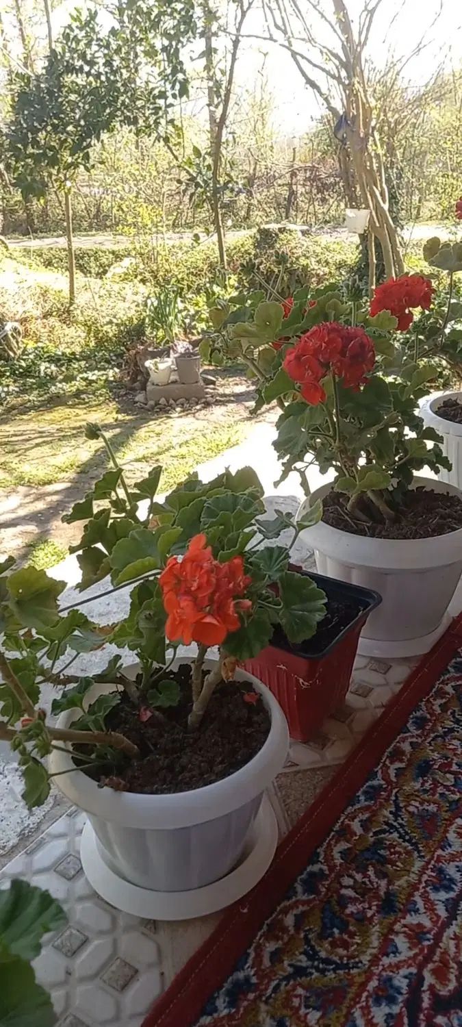 املاک اعتماد