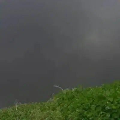املاک اعتماد