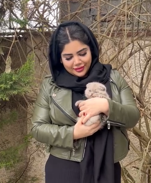 گوشه ای از تحویلی های مجموعه
