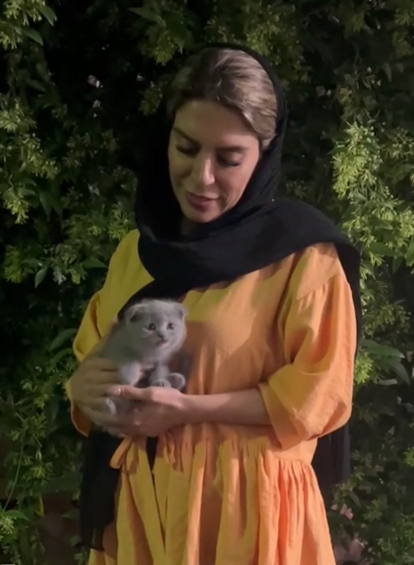 گوشه ای از تحویلی های مجموعه