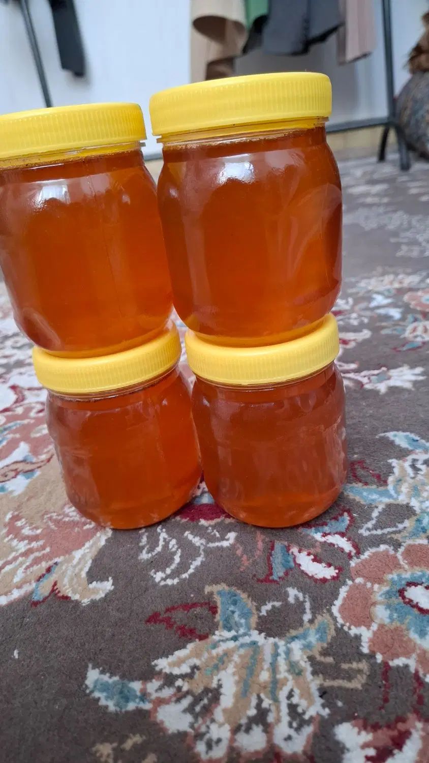 عسل کندو پلدختر