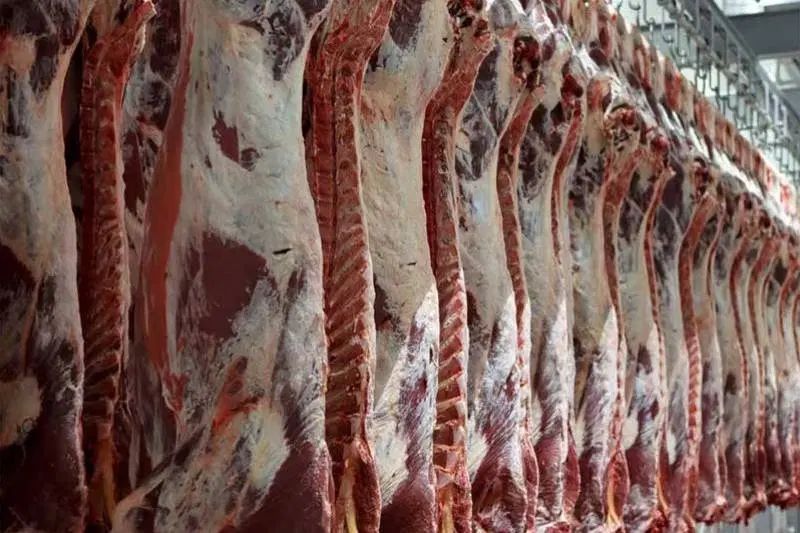 سرمایه گذاری/سرمایه‌گذار/واردات گوشت سود تضمینی