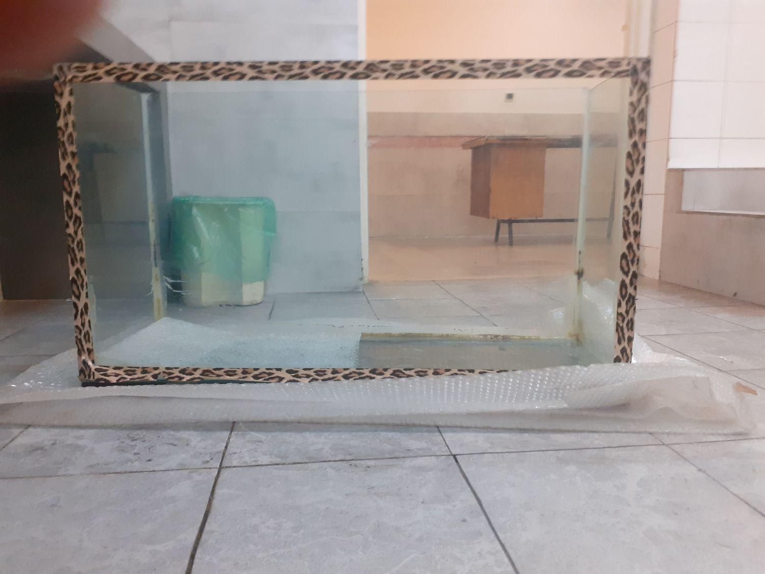 آکواریوم ماهی