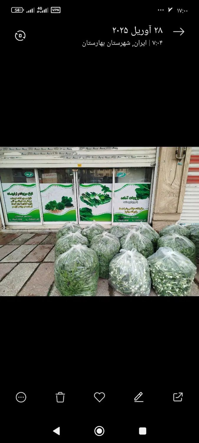 سبزی آماده عمده خرده