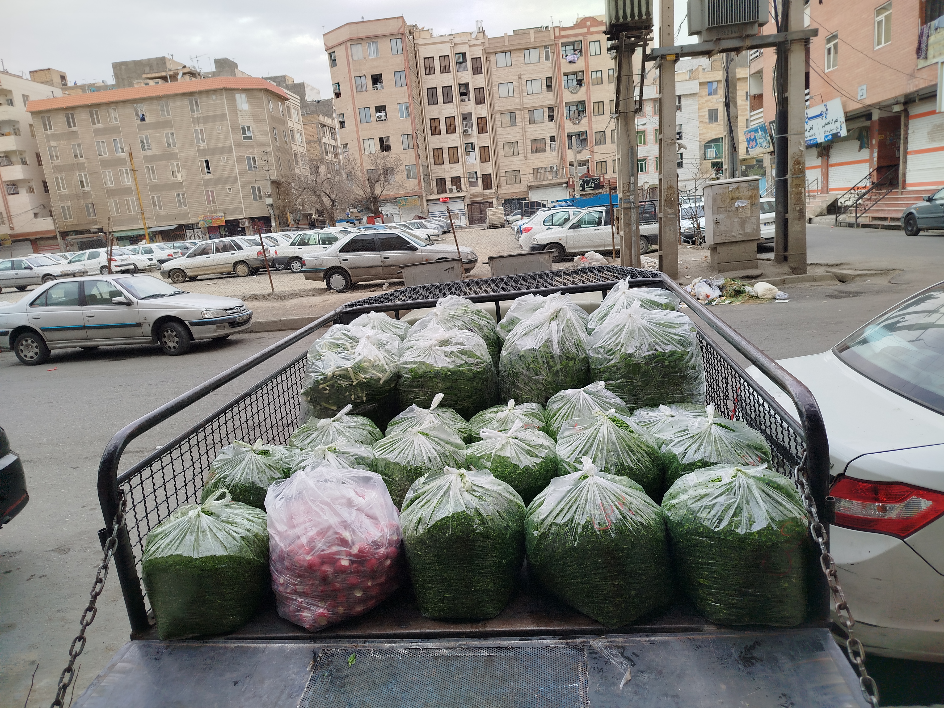 سبزی قورمه خورد شده، سبزی خوردن پاک شده