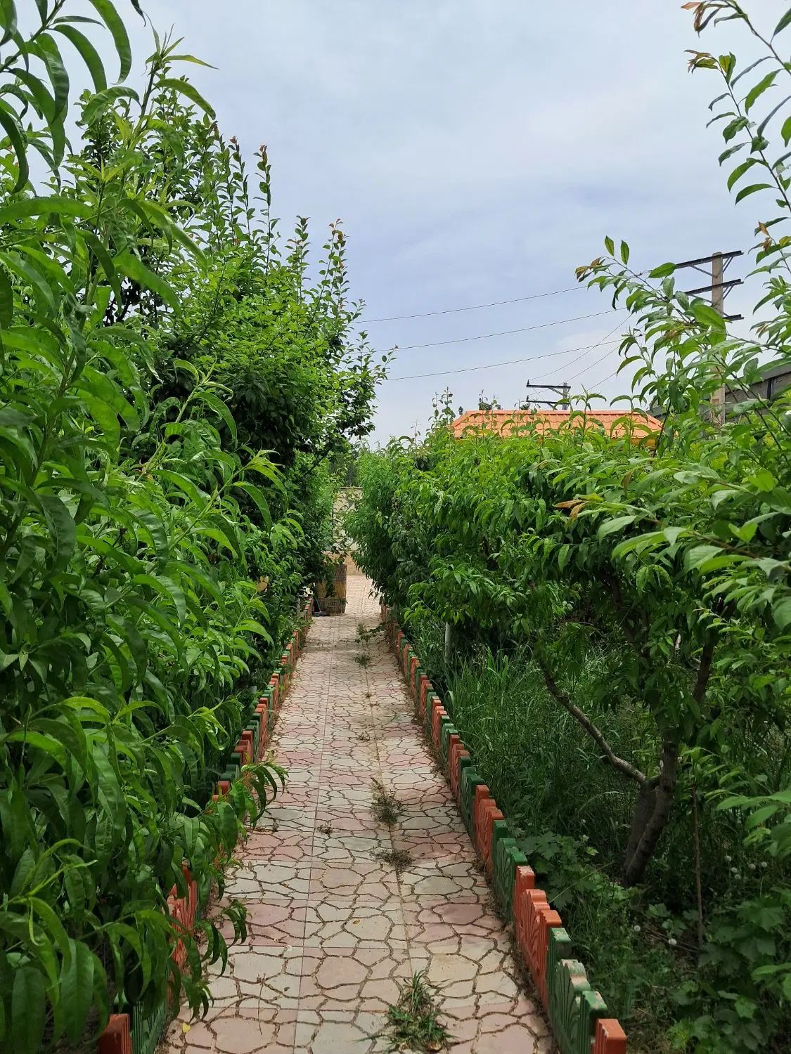 مشاورین املاک شباهنگ