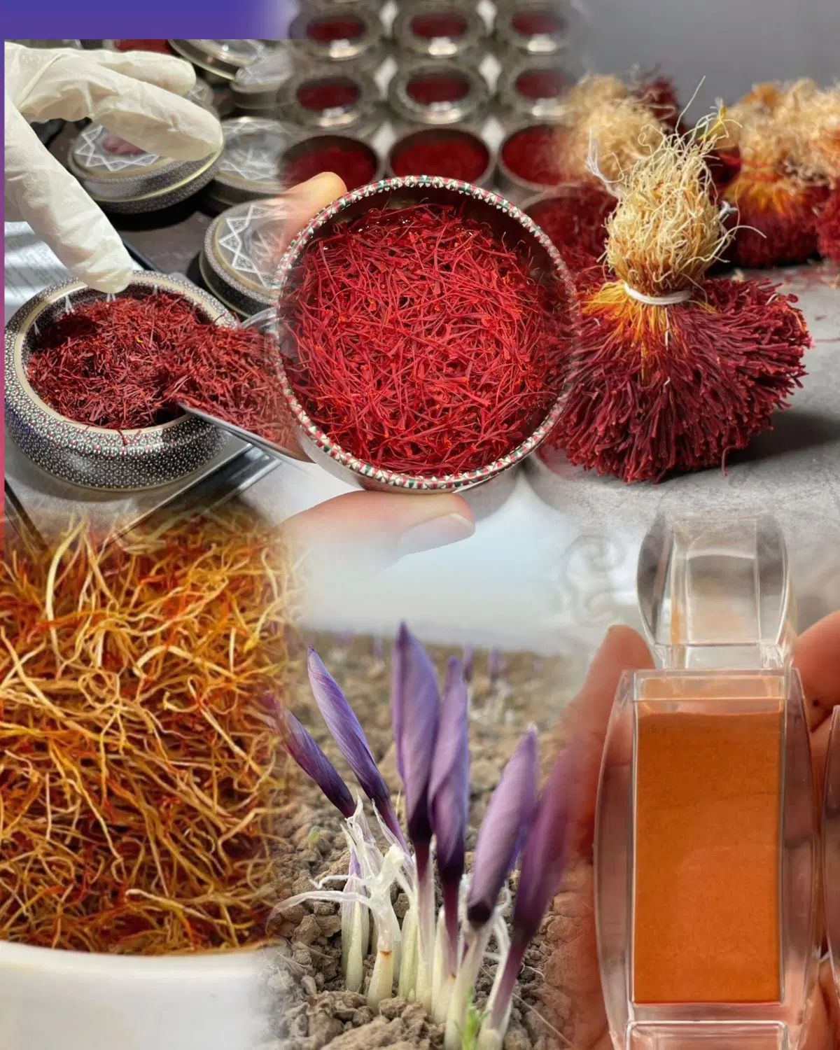 ضمانت زعفران اصل قائنات آزمایشه