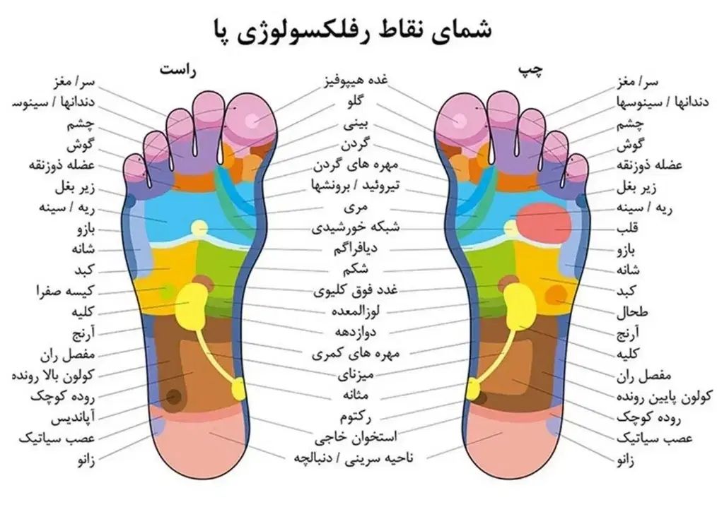 آموزش ماساژ رفلکسولوژی (بازتاب‌شناسی)