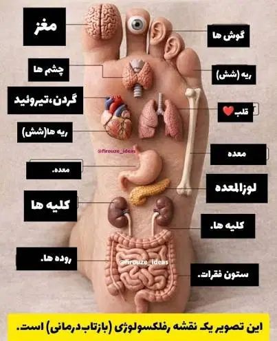 حجامت،طب سوزنی و بادکش در تهران