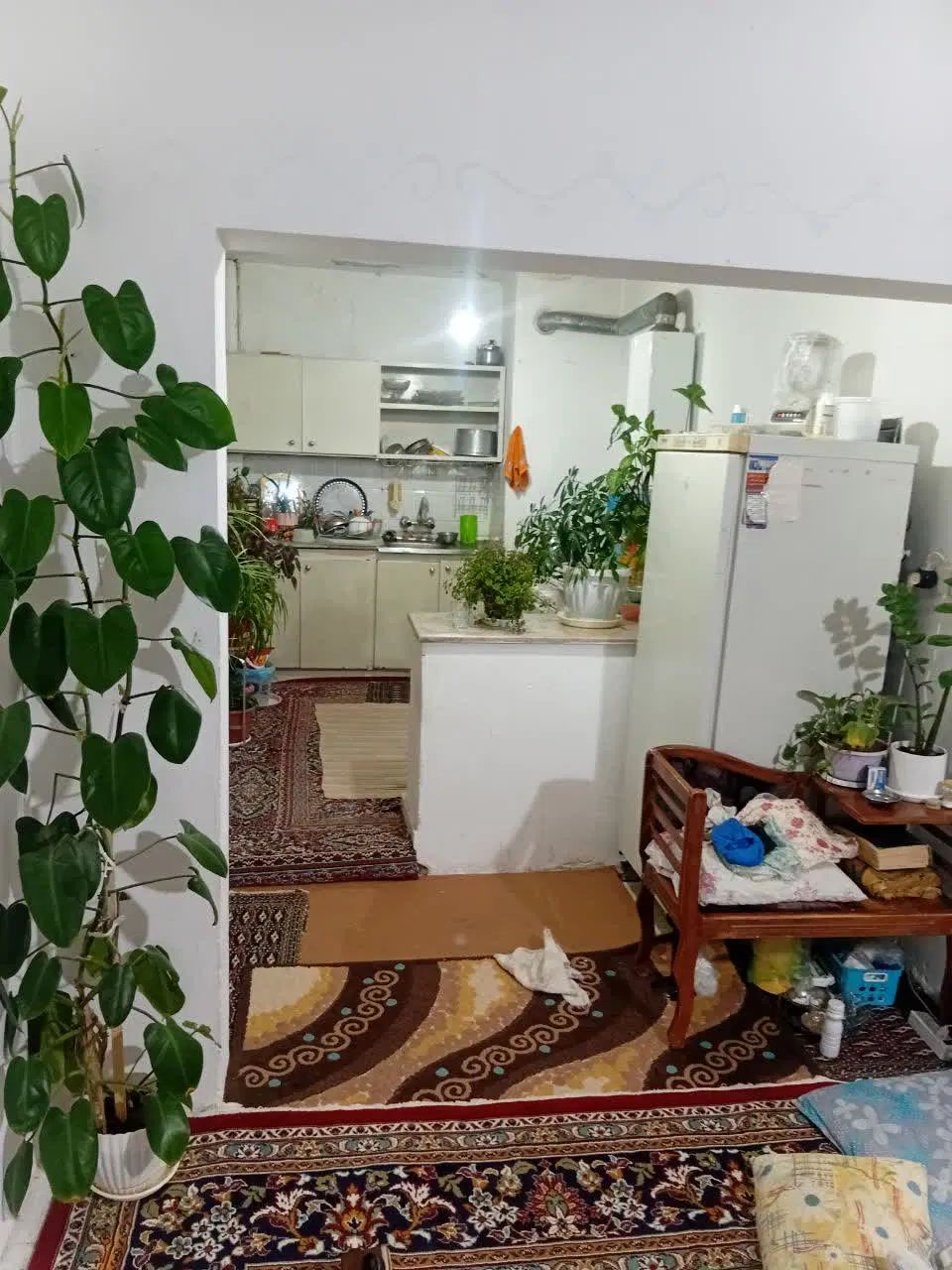 مشاورین املاک کوهستانی
