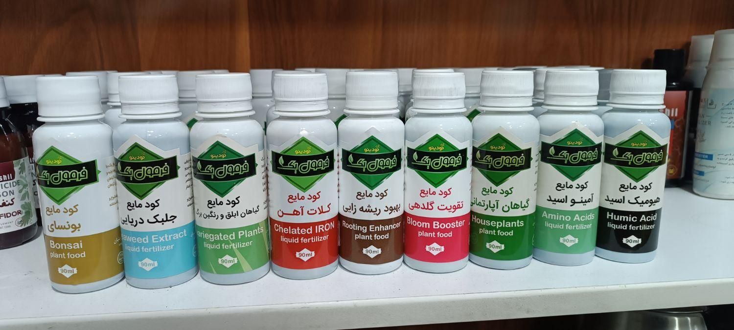 کود ویژه برای زامیفولیا و گیاهان آپارتمانی