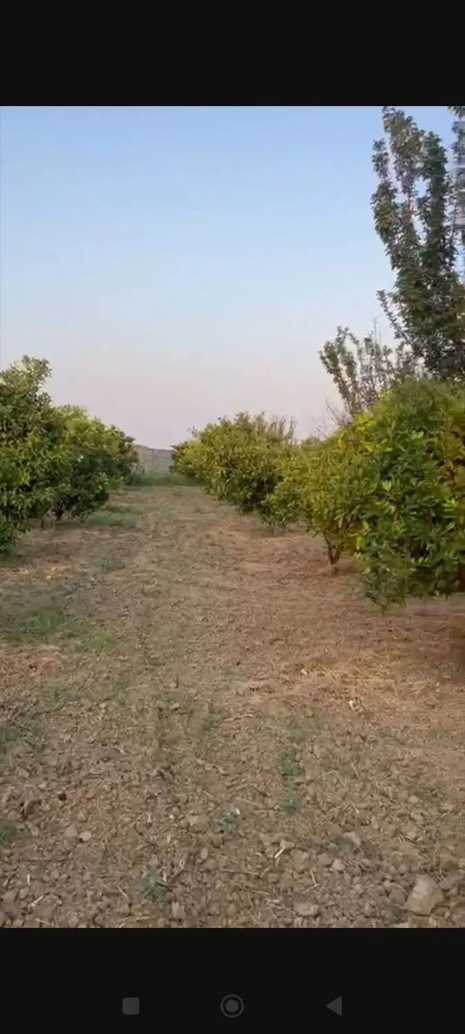 مشاور املاک اهورا
