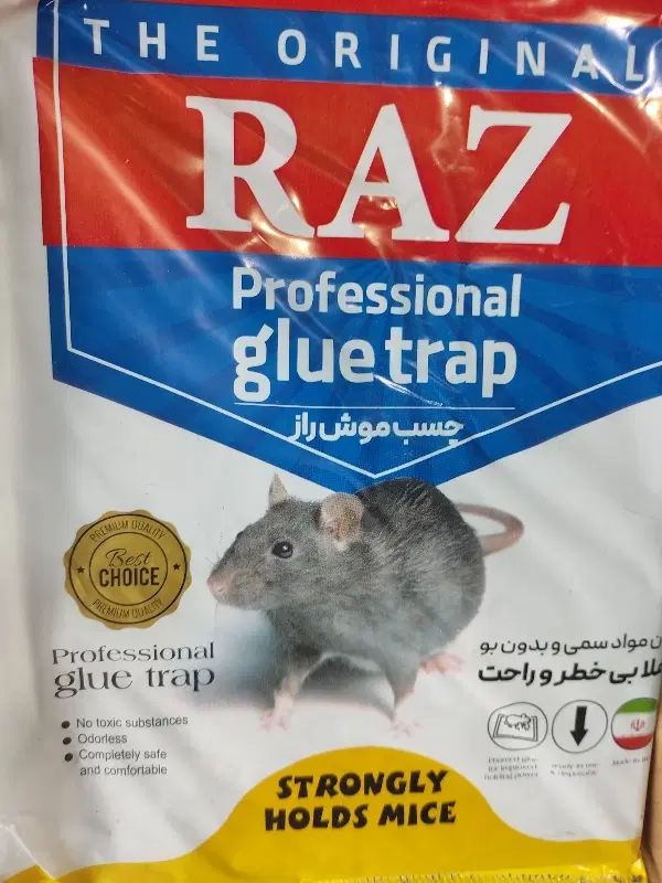 چسب موش کتابی در مشهد