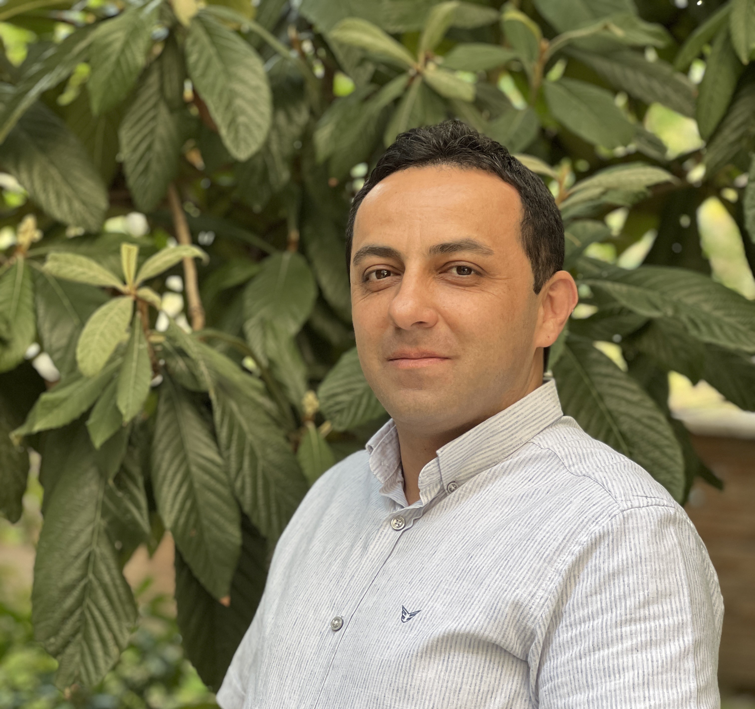 آقای امامی