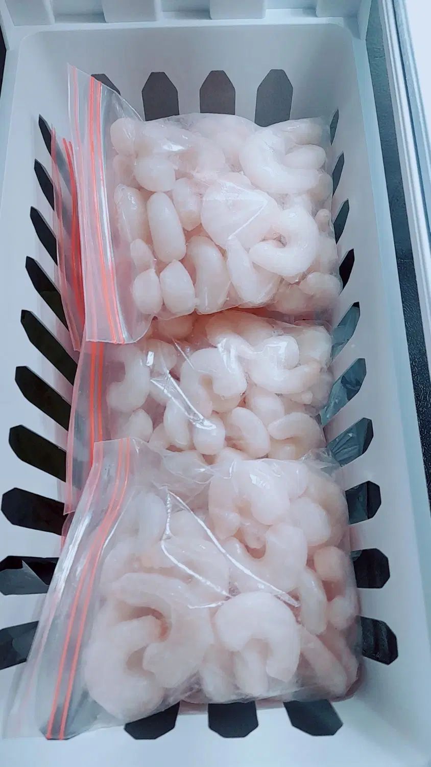 میگو دریایی تازه تازه جنوب