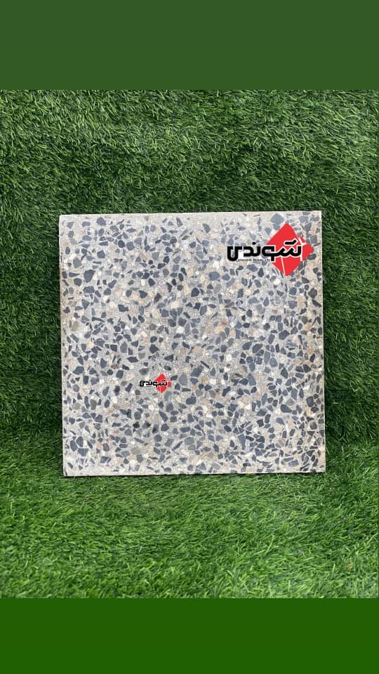 طوسی اراکی در رشت