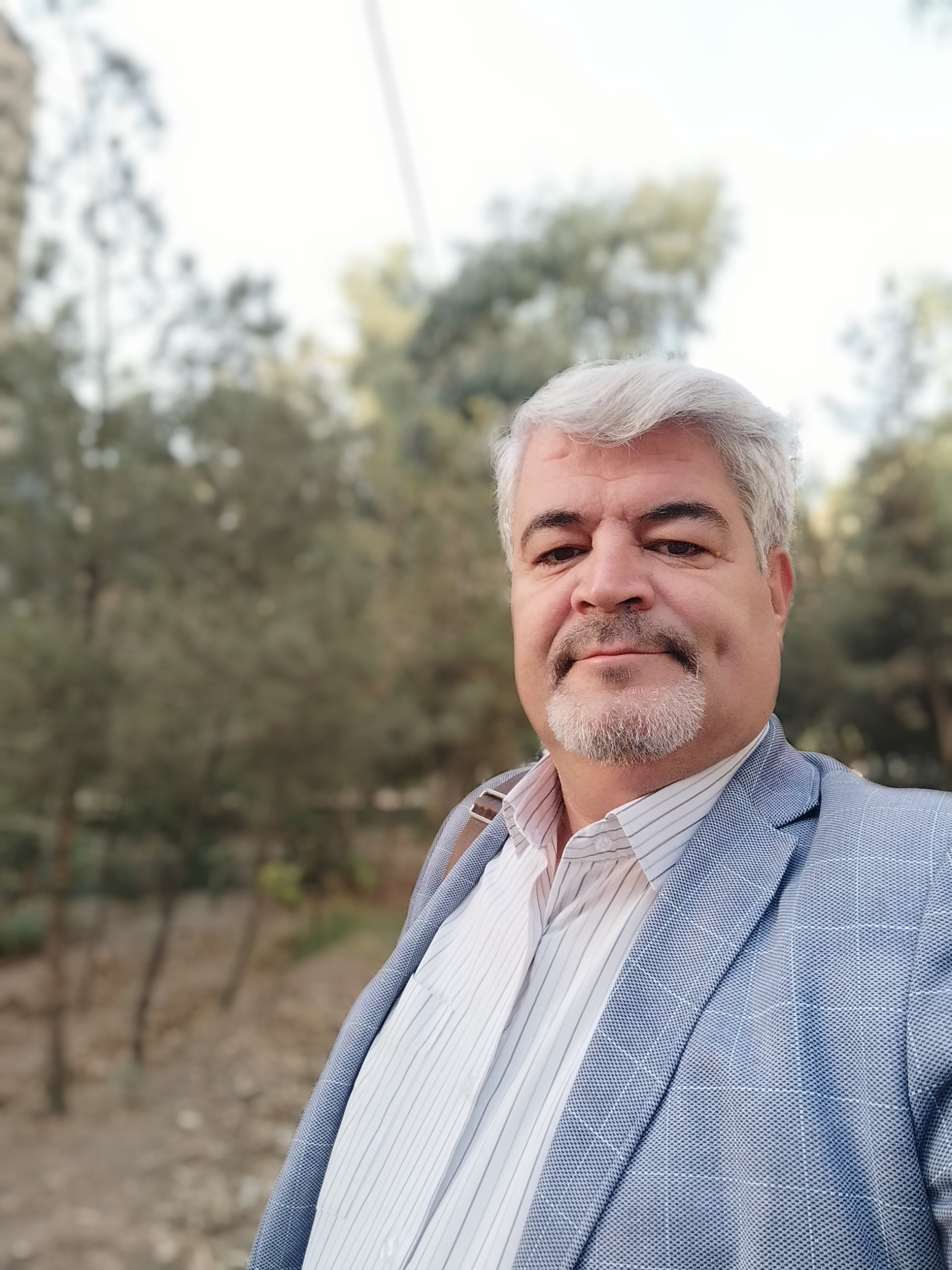 شرکت در هیات های مالیاتی