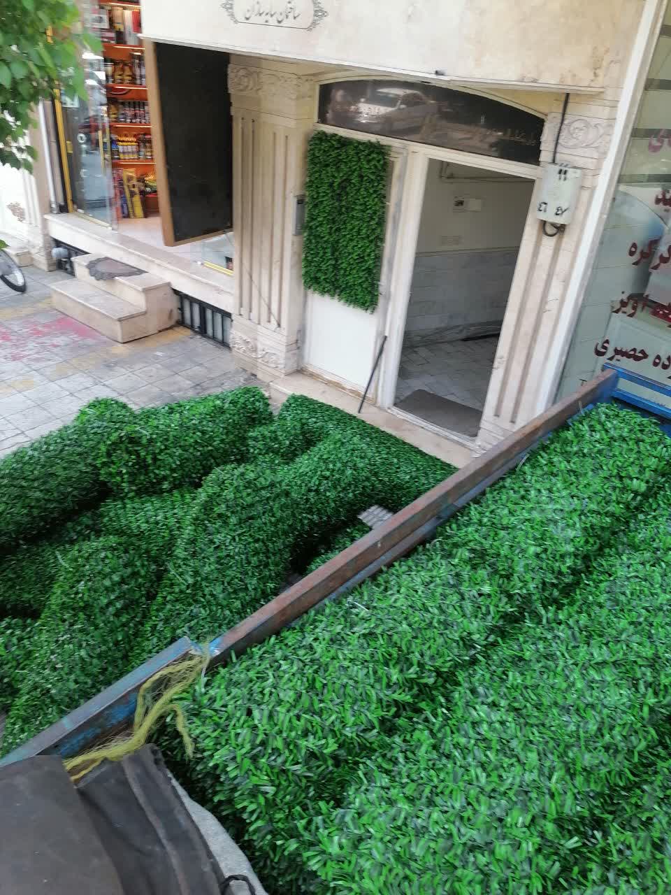 فنس برگی