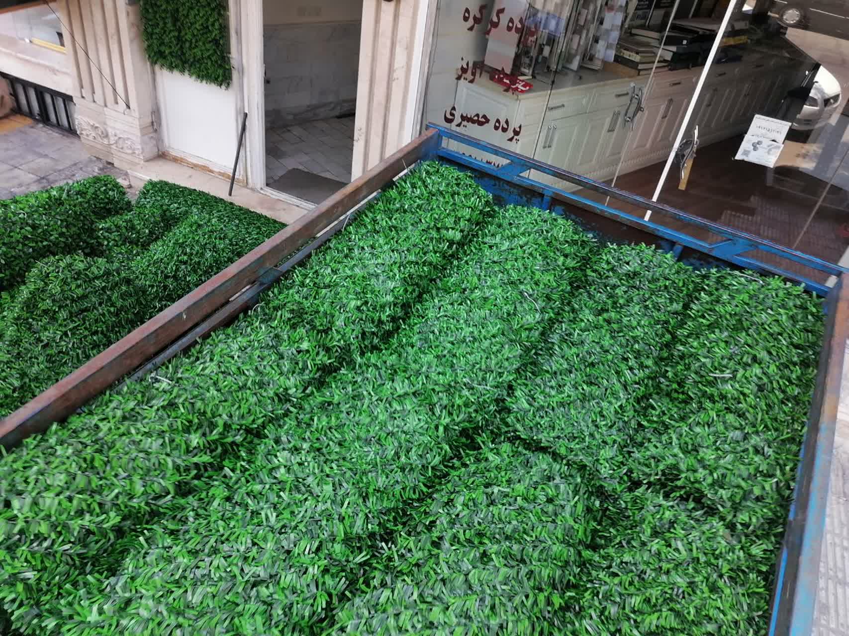 فنس برگی و چمن