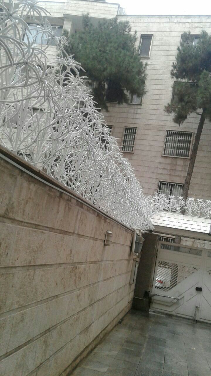 حفاظ نخل مرداب لوکس