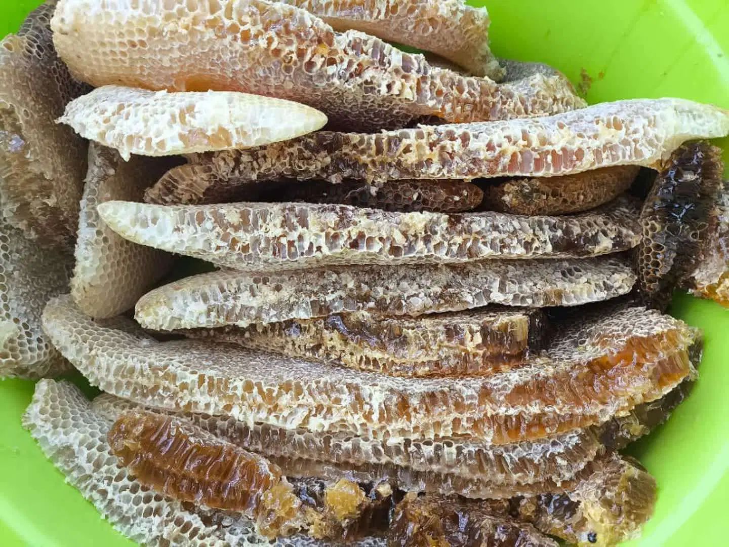 عسل صخره ای وحشی