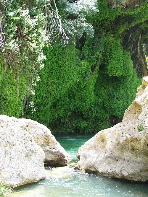 تور یکروزه تنگ براق