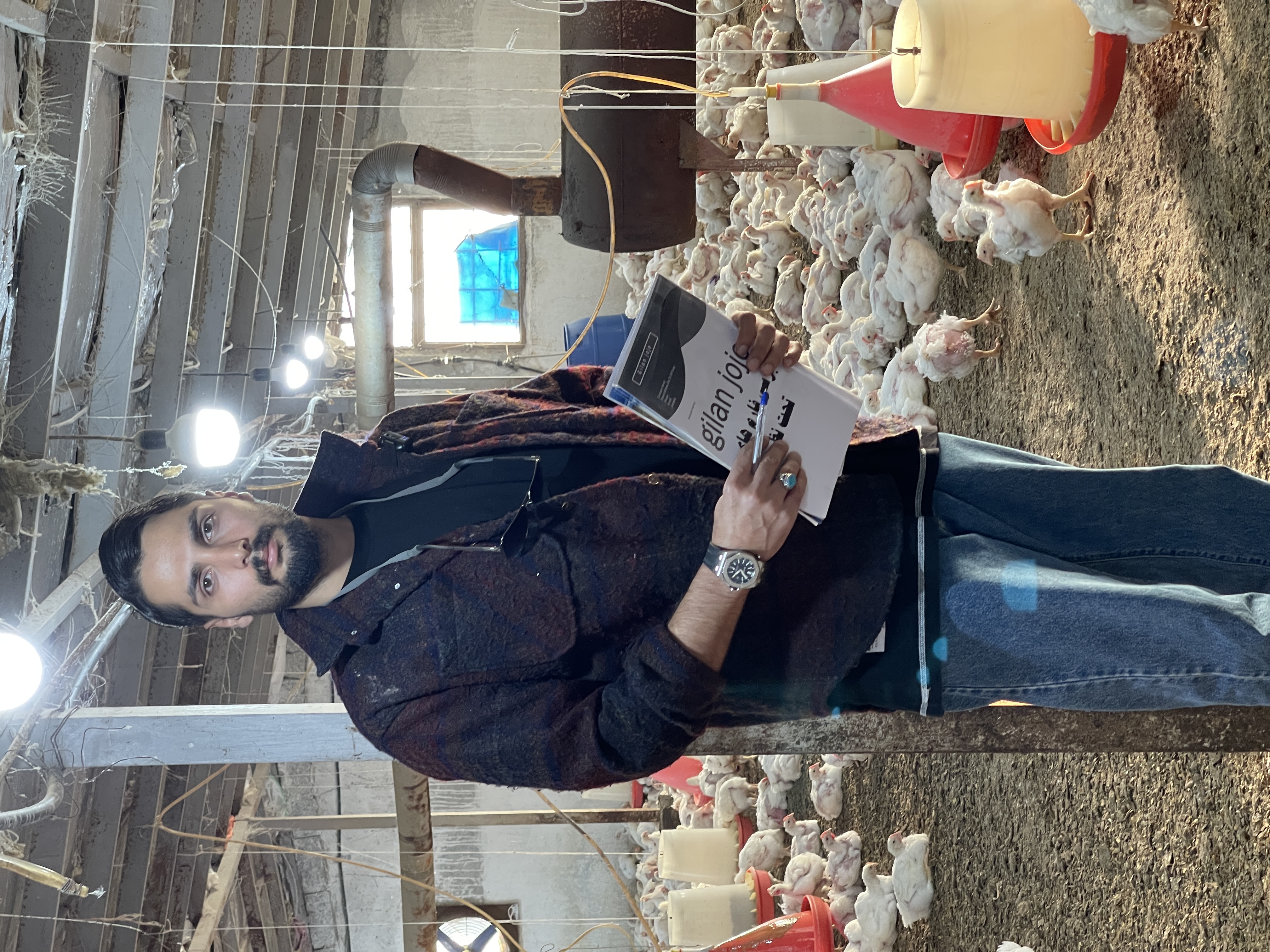 فروشگاه گیلان جوجه