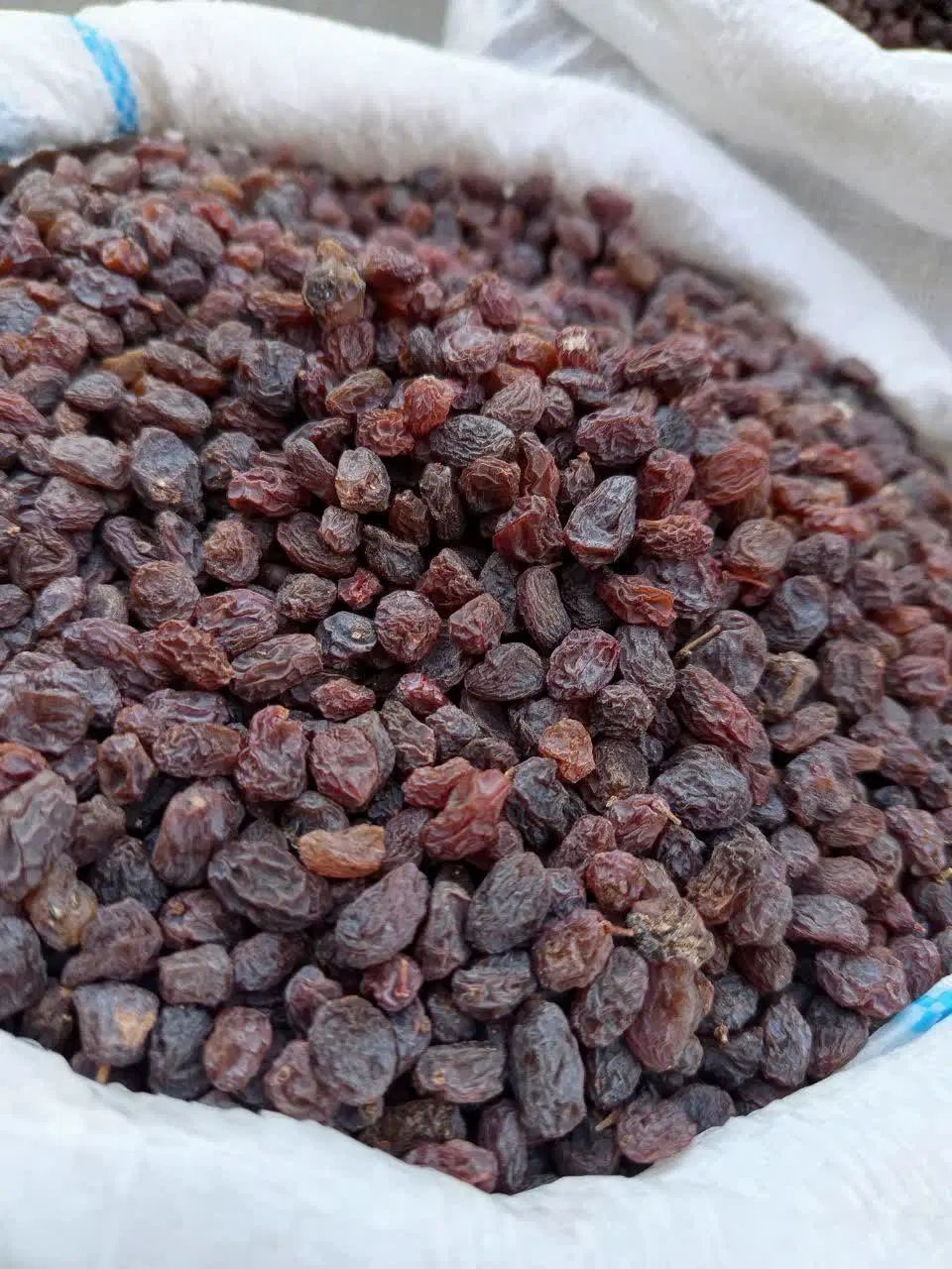 کشمش آفتابی لوکس
