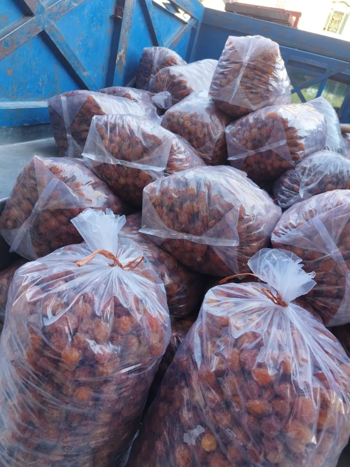 پخش آلو قطره طلا