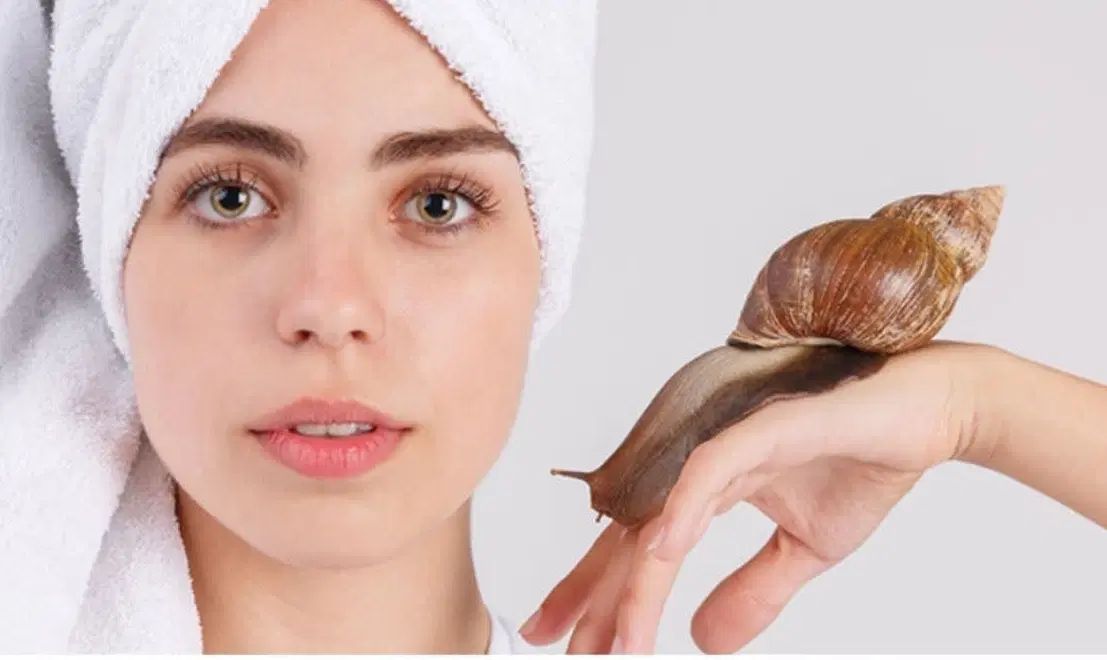 حلزون وخاک ارزان،حلزون تراپی