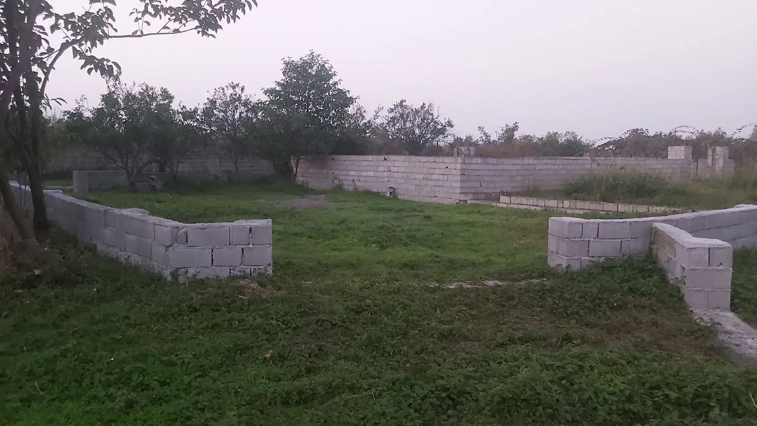 ۲۵۰ متر زمین تمشکل در نشتارود