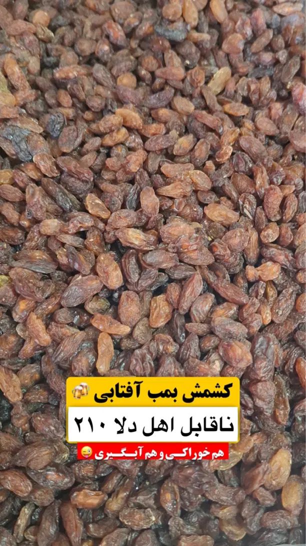 کشمش آفتابی و شیره صنعتی مخصوص سرکه گیری