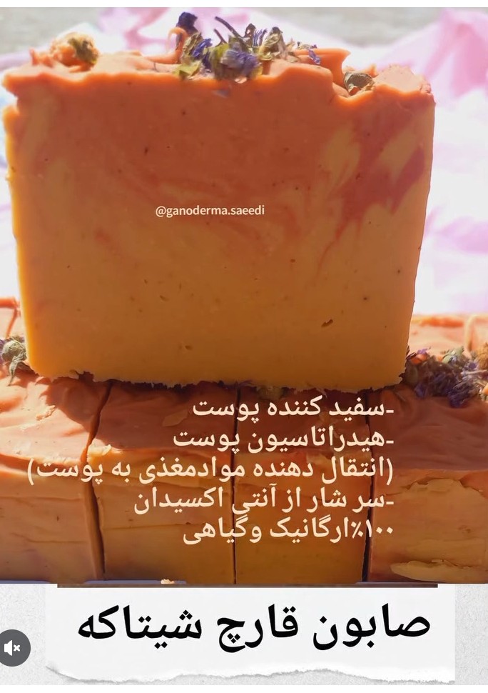 صابون قارچ شیتاکه  سفید کننده پوست